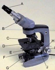 What is the name of the microscope part labeledH ?