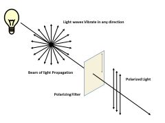 Polarized light