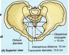 Lower pubic symphysis to sacral promontory
- palpate up & back for sacral promontory (often not felt)
- Not felt then CD > length hand