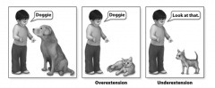 Underextension: child calls his/her dog, but not other dogs. 

Overextension: child calls all animals with four legs, "dog"; calls a cat, a dog.