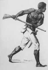 Descended from Africans who escaped slavery.