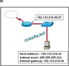 A host is connected to the LAN, but it cannot get access to any resources on the Internet.. The configuration of the host is shown in the exhibit. What could be the cause of the problem?