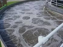 aerated sewage containing aerobic microorganisms that help to break it down.