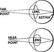 The eye loosens the ciliary muscles allowing the lens to view things further away.