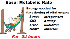Energy needed for vital organs:

Lungs, Integumentary, CNS, Kidney, Liver, Skeleton, Heart, Muscles