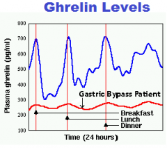 a. Ghrelin

(released during fasting state, so low postprandial)
