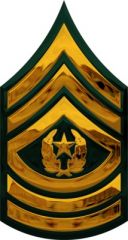 Command sergeant major (CSM)