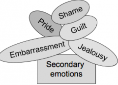 Secondary emotion require a sense of ________