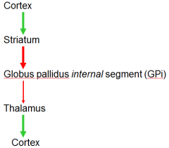 direct or indirect pathway of basal ganglia