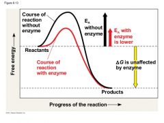 Enzymes lower the Ea
 
Enzymes do not affect the change in free energy.