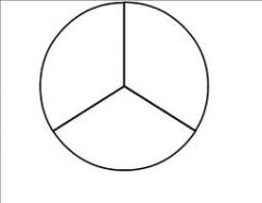 This circle is made up of three _______.