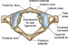Anterior arch: takes place of body
 
Posterior arch: takes place of spinous process