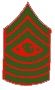 Sergeant major of the marine corps (SgtMajMC)