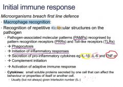Innate: 
- macrophage recognition
- recognition of PAMPs
- recognised by PRRs and TLRs
- Phagocytosis --> initiation of inflammatory response
- cytokine secretion
- Complement initiation
- activation of adaptive immune response.

Adaptive