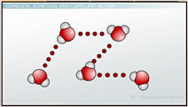 Water: Cohesion – the attraction of between a [POLAR] molecule to another [POLAR] molecule.