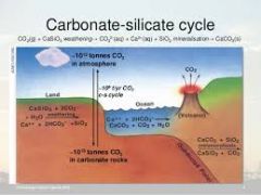 Carbon-silicate Cycle