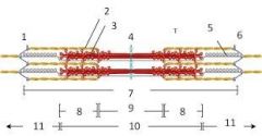 Identify an actin/ thin filament