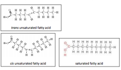 Saturated fat and trans fat
