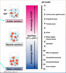 Water Ionizes: pH – expression of the [CONCENTRATION] of H+ in solution.