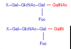 Acquired B
   -Group A to AB
   -Plasma reacts with anti-B
   -Red cells reacts with anti-A and weakly with anti-B 
   - N-acetyl-D-galatosamine to galactoseamine similar to D-galactose