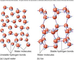 If the temperature is low enough, very few hydrogen bonds [BREAK] in water. Instead, the lattice of these bonds assumes a crystal-like structure, forming a solid we call ice. Interestingly, ice is less dense than water – that is why icebergs and...