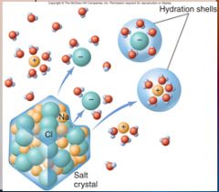When a salt crystal dissolves in water as you see happening in figure 2.11, what really happens is that individual [IONS] break off from the crystal and become surrounded by water molecules. The blue hydrogen atoms of water are attracted to the ne...