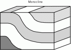 Monoclines are the simplest types of folds. Monoclines occur when horizontal strata are bent upward so that the two limbs of the fold are still horizontal.