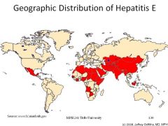 Hep E viruses are single stranded RNA viruses in the Hepeviridae family. They are orally transmitted from eating infected meat or contaminated water in e.g. refugee camps. Host range includes lagomorphs, pigs (liver) chickens. Besides swine and ...