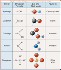 Macromolecules: Organic Molecules – formed by ______ organisms and consist of a carbon-based core with ‘_______ groups’ attached.