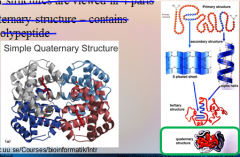 Proteins: Protein structures are viewed in 4 parts – Quaternary structure – contains >1 [POLYPEPTIDE].