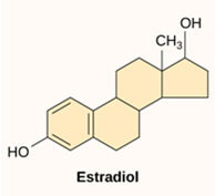 Lipids: Steroids are [LIPIDS] that consist of multiple ring structures – [ESTRADIOL] (female sex hormone).