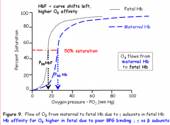 - The gamma subunit has fewer positively charged residues that interact with BPG (4 instead of 6 in HbA1), so the binding of BPG is less in fetal Hb. This means that the Hb is more likely to be in the R form; fetal Hb has a higher affinity for oxy...
