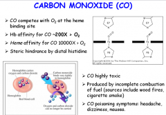 Carbon monoxide also binds to the ferrous iron in Hb, with a 200x greater affinity than oxygen. It is sterically hindered by the distal histidine from binding straight on (if it were able to do this, affinity would be 10,000x 
higher). CO is high...