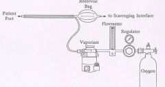 type of non-rebreathing circuit