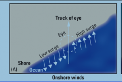 Onshore winds