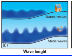 Wave height