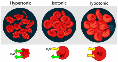  Osmosis have 3 type of system in the cell
  3)Isotonic, 
2)Hypertonic,
 3)Hypotonic