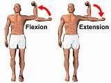 When extending the forearm, the triceps brachii is the.... 