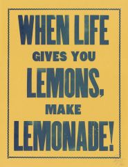 Make Lemonade by Virginia Euwer Wolff