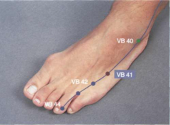 sobre el dorso del pie, en el angulo proximal entre el 4 y 5 metatarsiano, en la depresion lateral del tendon del m extensor largo del 5 dedo