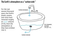 Missing Carbon Sink