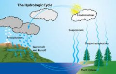 Circulation of water from the oceans to the atmosphere and back to the oceans by way of evaporation, runoff from streams and rivers, and groundwater flow.