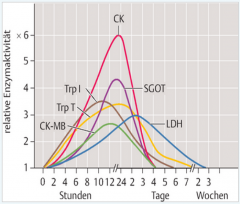 - Troponin T und I (Goldstandard)


- CK


- CK-MB


- Myoglobin


- GOT


- LDH


- CRP


- Kreatinin (zur bestimmung der Nierenfunktion