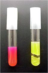 What is the name of the pH indicator in this medium?