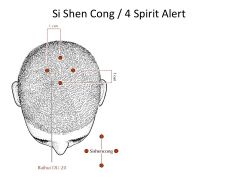 4*- Tx: Headache (Away Du-20), Tx: Memory/Insomnia (Towards Du-20).  Calms down Shen. Local: H/A, deafness, tinnitus.