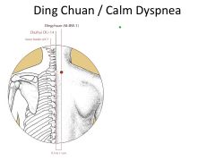 3*- Calm Dyspnea. Calms wheezing. Stops Any Lung condition. Local: Neck and Upper back.