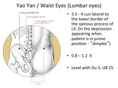 3*- “Yuan from your lumbar”. Location: 3.5-4 cun lateral to the lower border of the spinous process of L4. Tx: Acute/Chronic LBP.