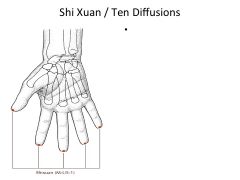 3*- Tx: 10 Finger Tips (Eg. Numbness). All forms of stroke. Clears Heat/fever/red throat/swelling (VERY POWERFUL). Calms down Shen, mania d/t blood heat.