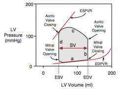 PV loop shows the ventricles relationship of pressure to volume. 
D correlates to the the closing of the MV and the end of diastole (First heart sound)
Between d and C you can see isolvolumetric contraction before the aortic valve opens between C ...