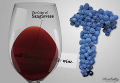 Dominant varietal to central Italian red wines. Including Chianti (also mixed with the tart trebbiano grapes) Sensitive to place. Traditionally cheap table wines. Now with more quality blending and production, noble wines are possible. Mulberry, p...